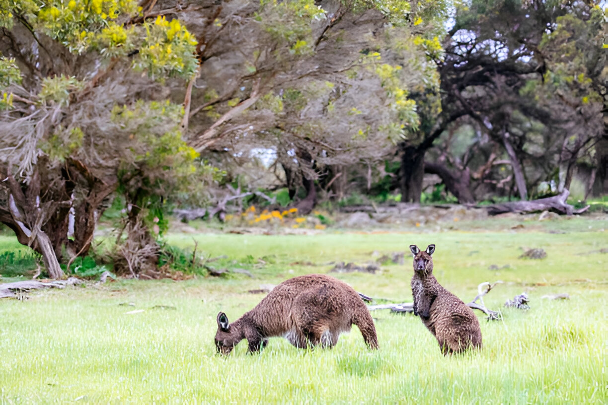 Kangaroo Island, South Australia