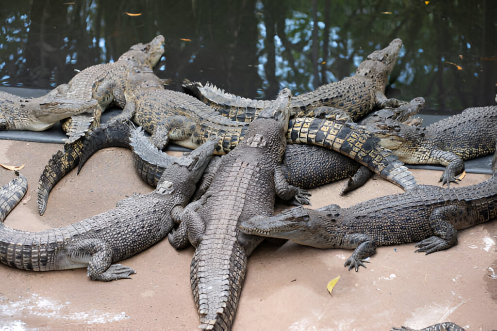 Best Seasons to Visit Kakadu National Park