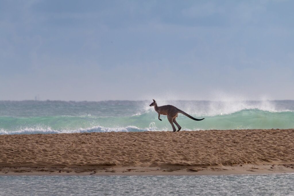 Visiting the Sunshine Coast